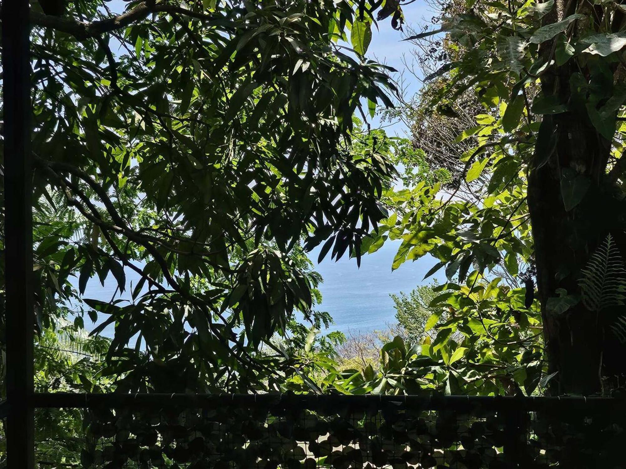 Mango Moon Villa Nationalpark Nationalpark Manuel Antonio Exterior foto